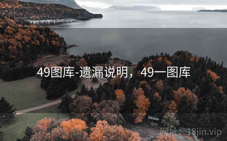 49图库-遗漏说明，49一图库